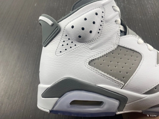 Reps TBK CT8529-100 Cool Jordan Grey Air 6 0709